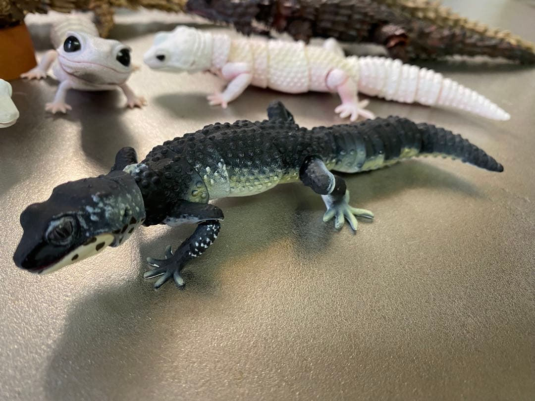 アルマジロトカゲ ほか 11体セット いきもの大図鑑 トカゲ