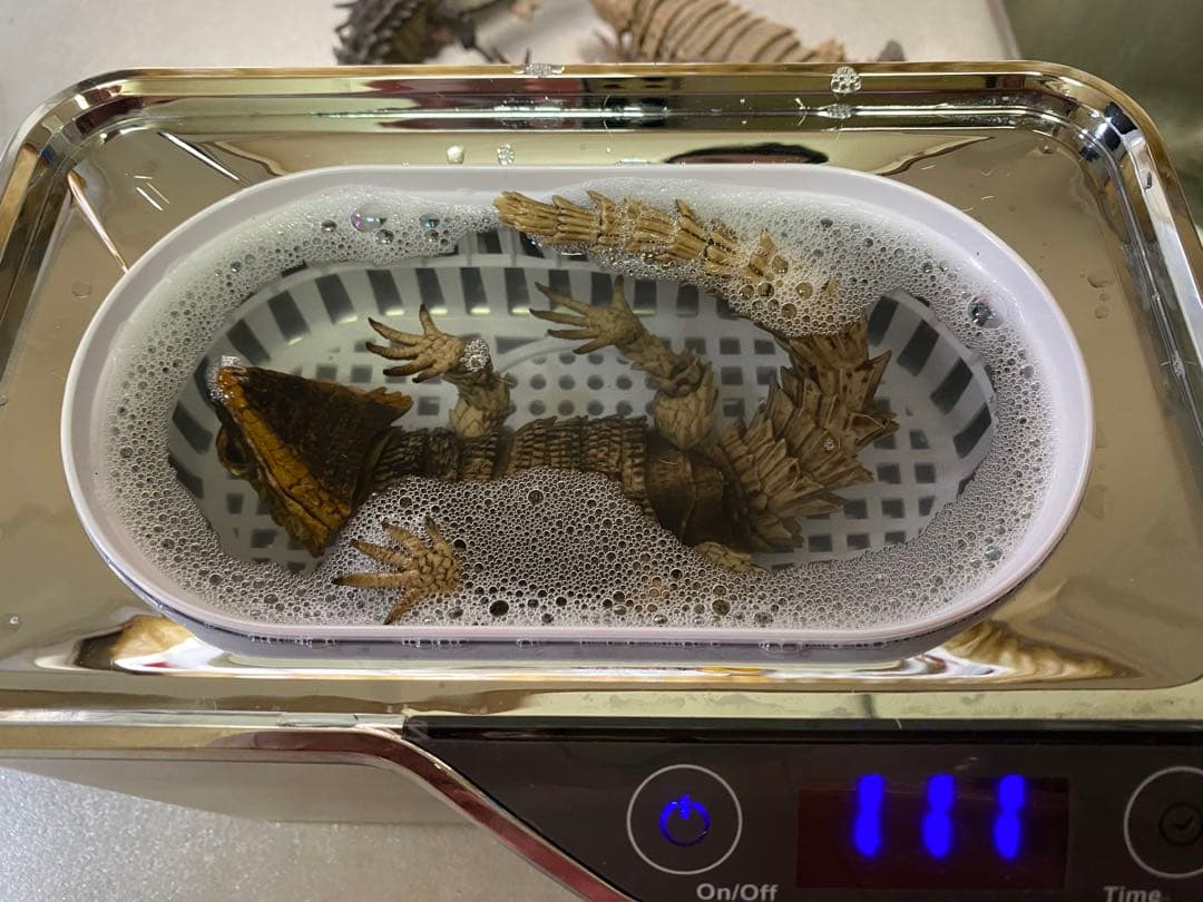 アルマジロトカゲ ほか 11体セット いきもの大図鑑 トカゲ