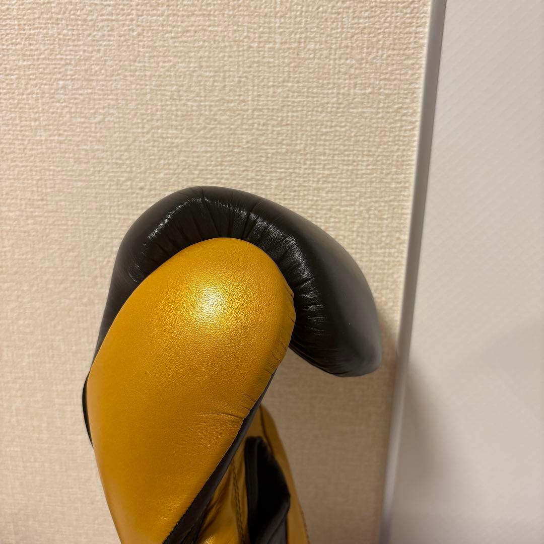 レイジェス(reyes) スパーリング・トレーニング用グローブ【14オンス】