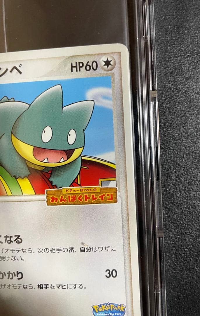 ポケパークのアチャモ　ポケパークのゴンベ　未開封　ポケモンカード