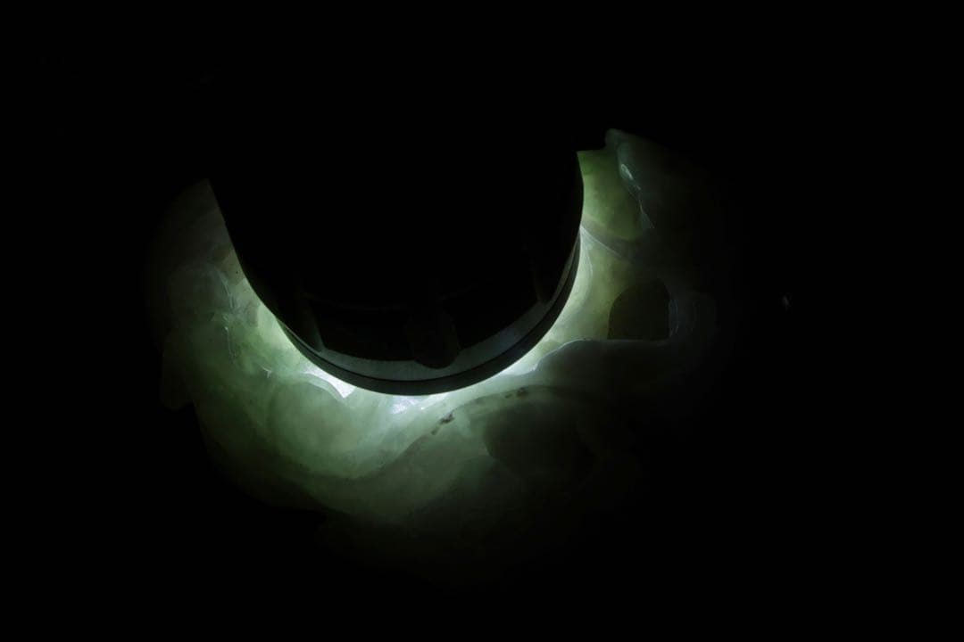 【中国美術】 ラベンダー翡翠 紫翡翠手彫 細密彫刻 龍紋 握り石 根付 紐付