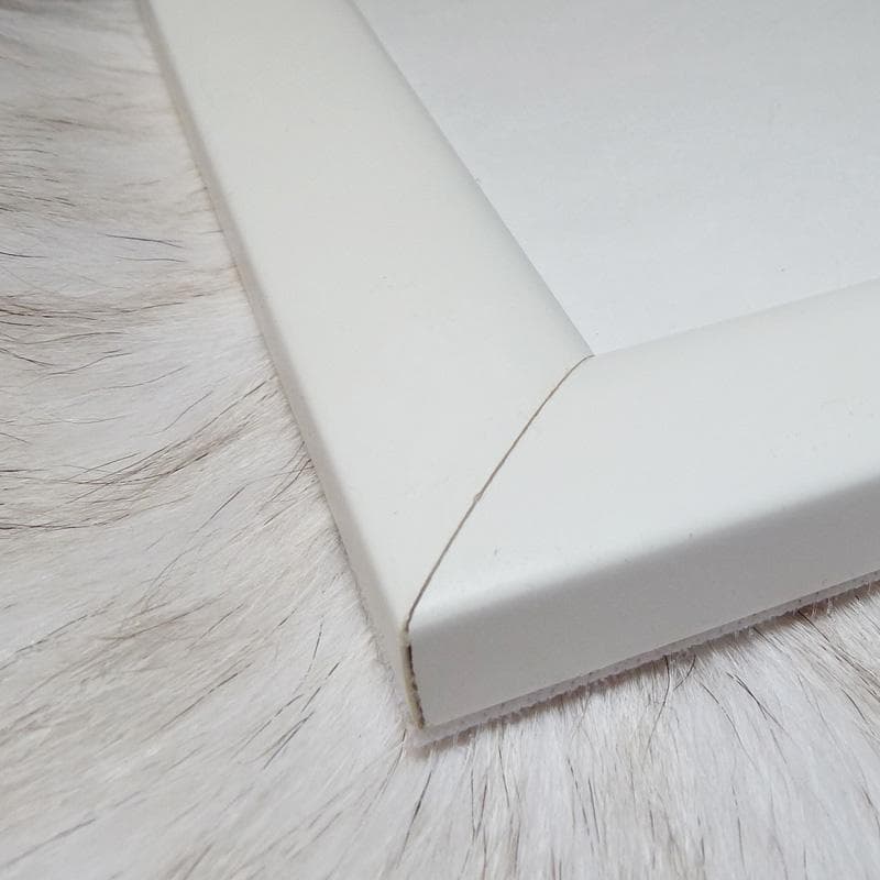 額装品/Mr. Duck Steps/ディズニー/ポスター/インテリア