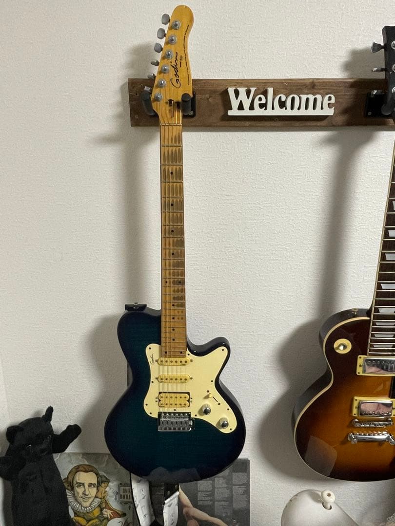 godin SD24 レア物