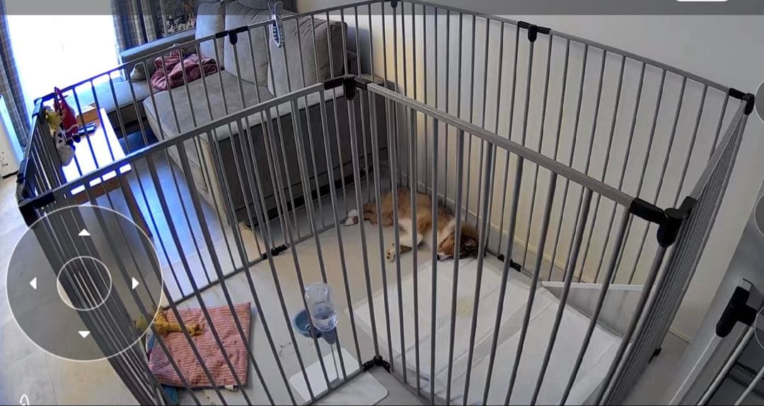 ペット用ケージ ハイタイプ 8枚セット 送料相談可