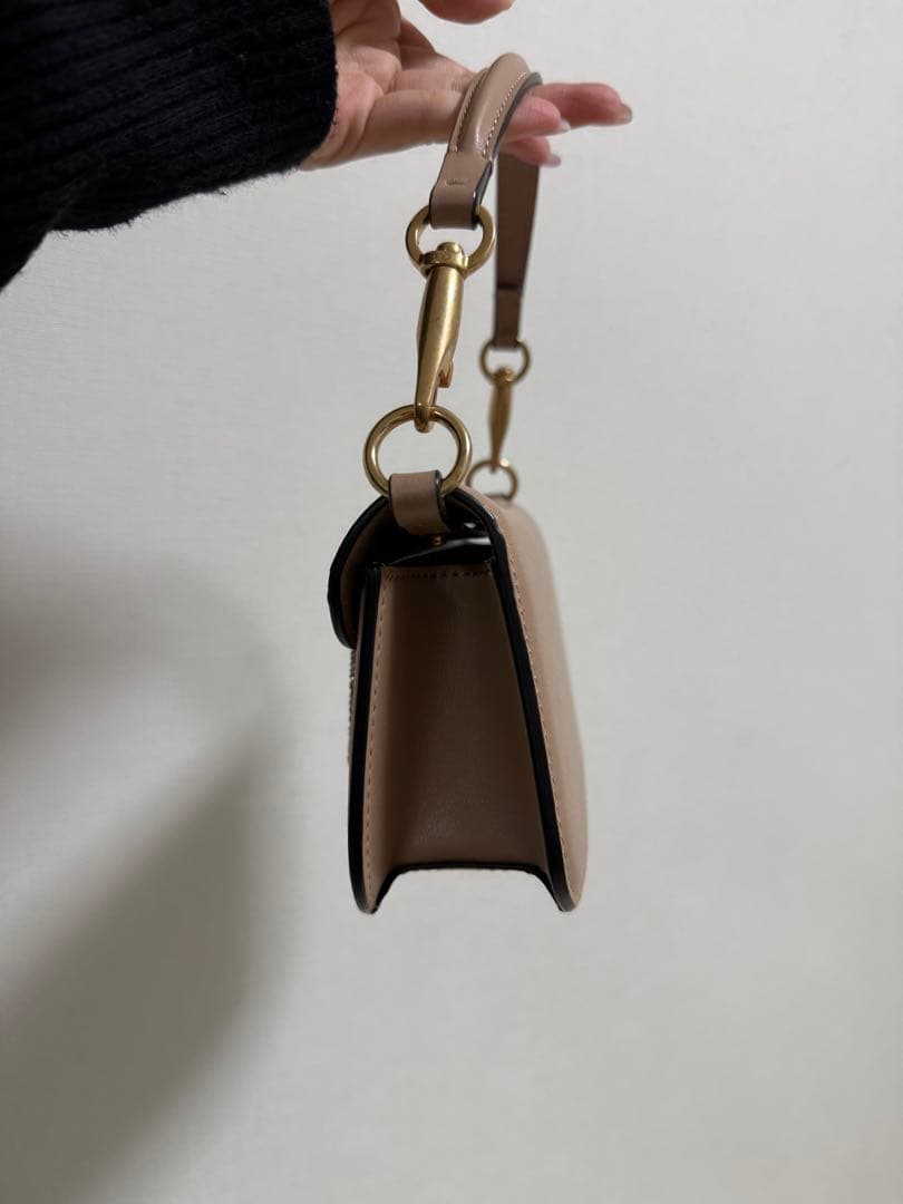 ヴァレンティノ　ガラヴァーニロコ　バック