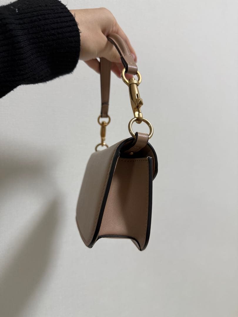 ヴァレンティノ　ガラヴァーニロコ　バック