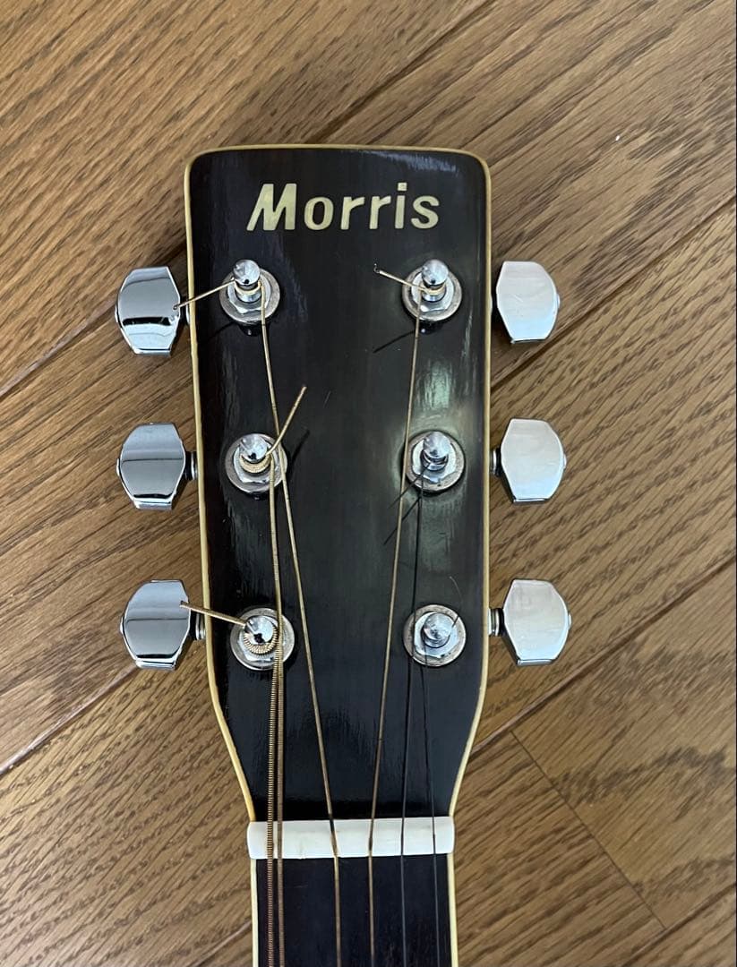 Morris アコースティックギター