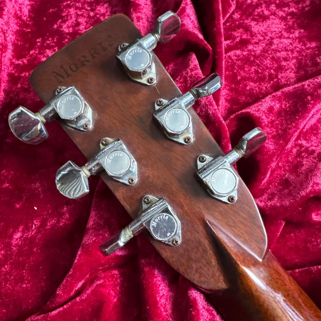 激鳴 TF MORRIS SPECIAL W-50 単板アコースティックギター