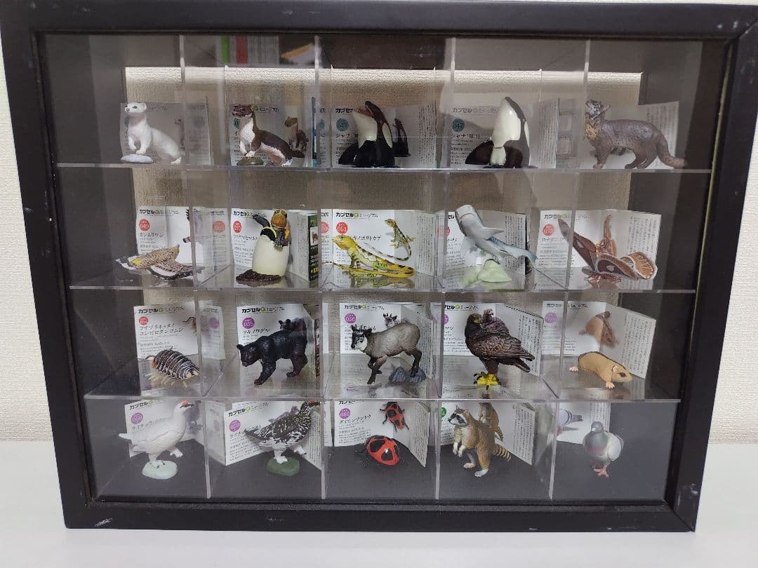 カプセルQ　日本の動物84体セット　ノーマルコンプ