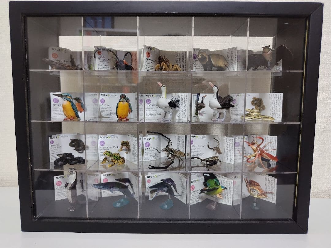 カプセルQ　日本の動物84体セット　ノーマルコンプ