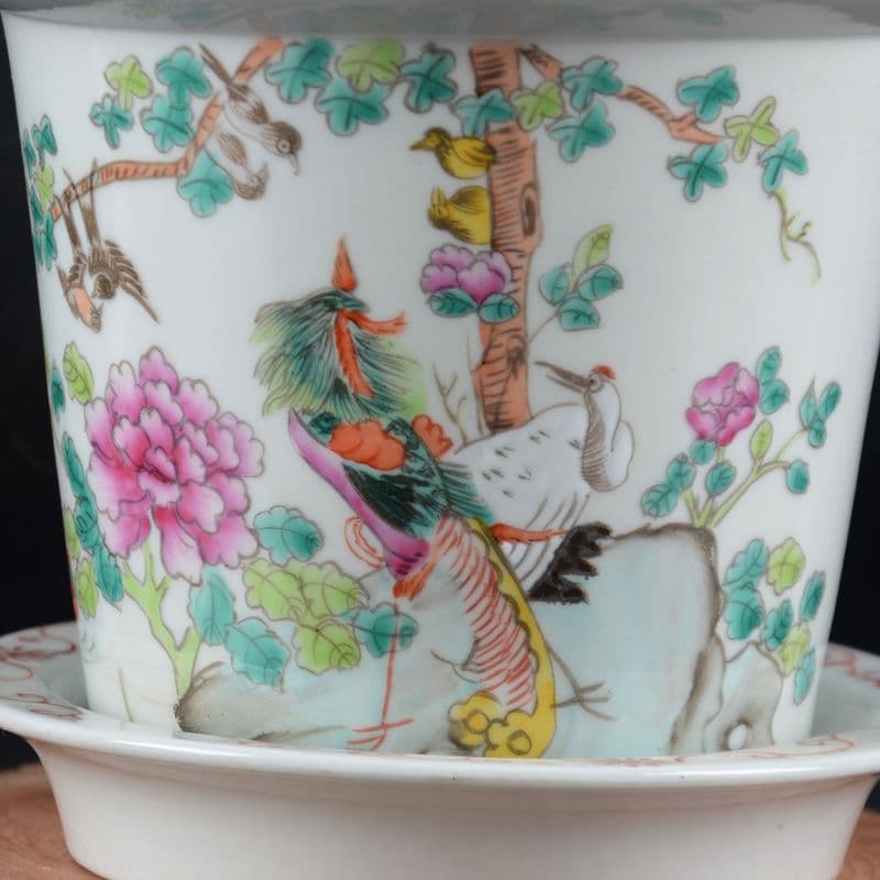 パステル錦鶏牡丹花鳥紋鉢 花鉢盆栽 小品盆栽鉢 大品盆栽鉢