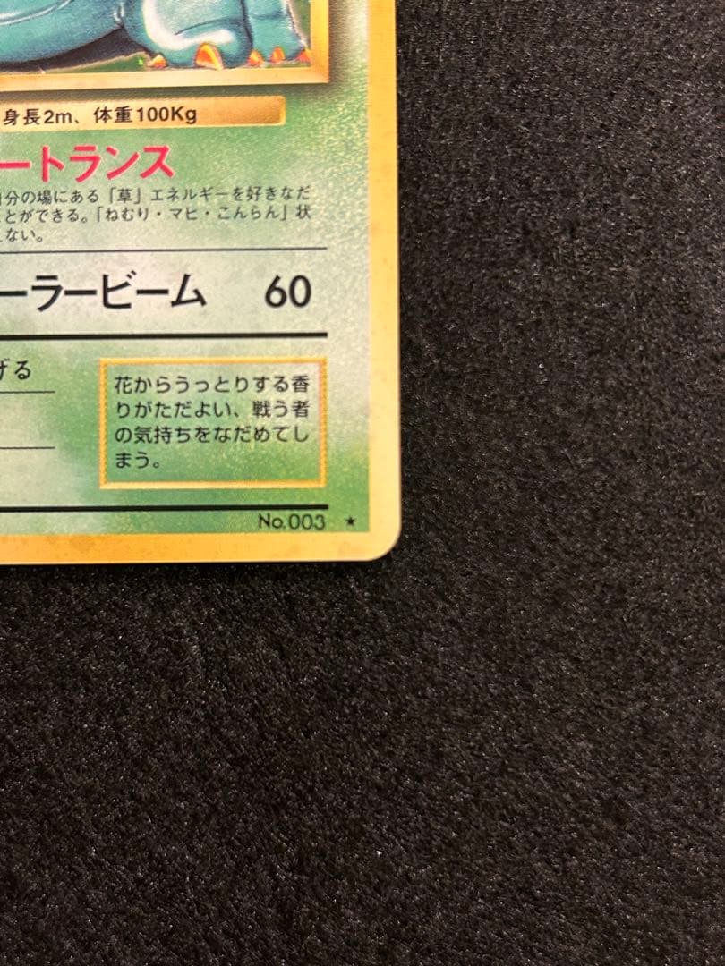 【美品】フシギバナ ポケカ 旧裏 【絶版】