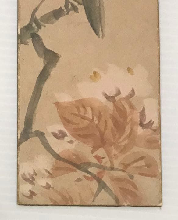 【真作】　★青嵐 サイン入り　肉筆短冊　花鳥図