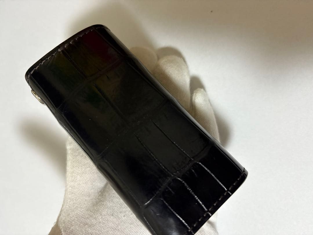 ワイルドスワンズ　クリッパー３　クロコダイル