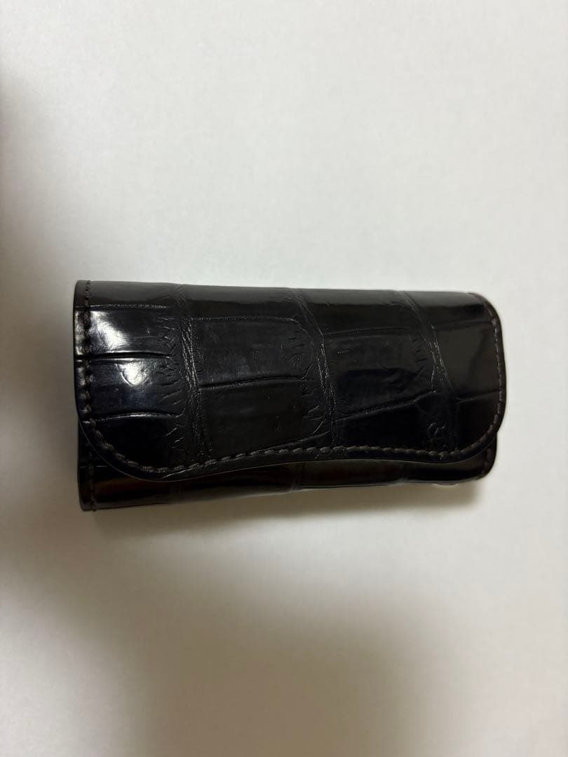 ワイルドスワンズ　クリッパー３　クロコダイル