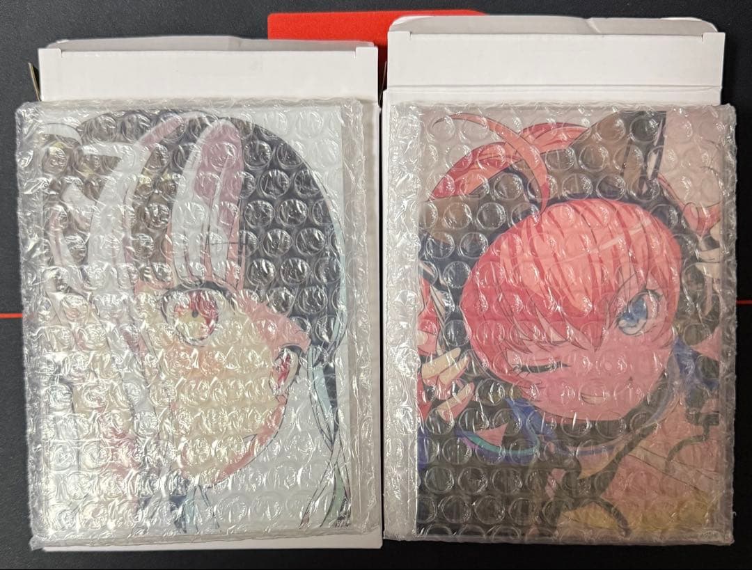 信澤収展 アクリルパネル RAISE A SUILEN パレオ　チュチュ