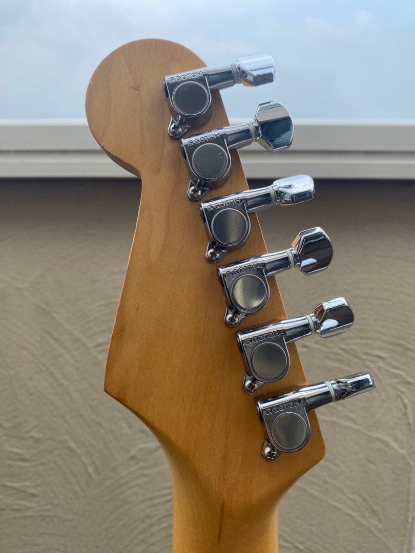 ギター FERNANDES The Revival, R S T Series.