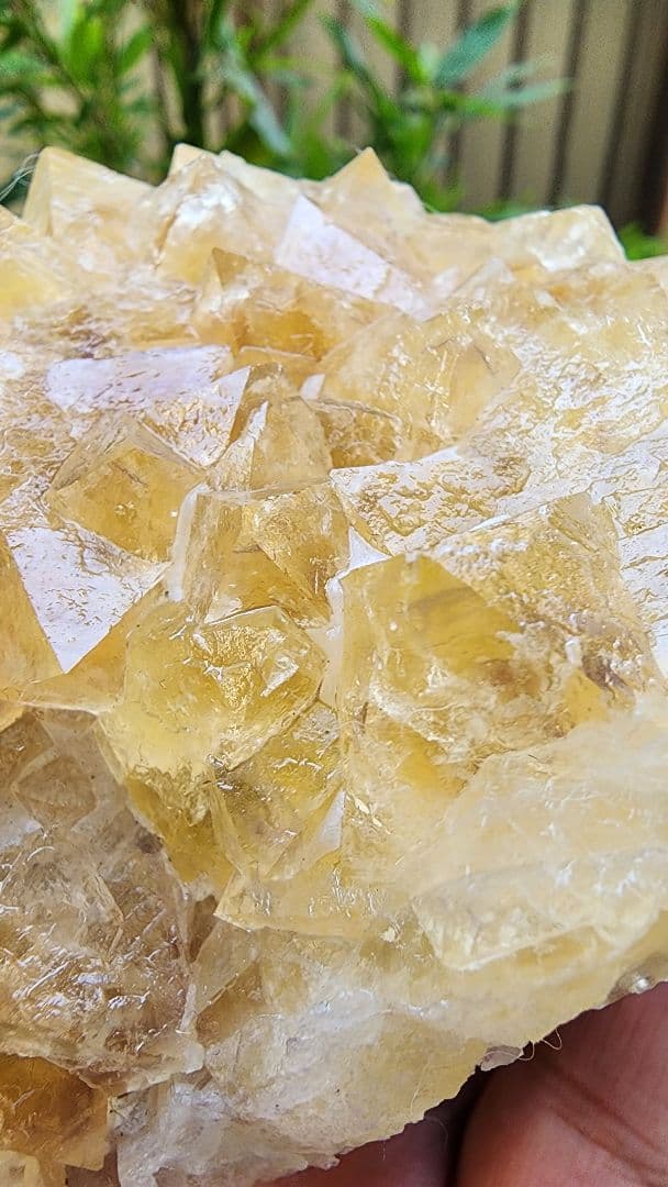 黄色と紫色フローライト　二重層八面体黄色蛍石