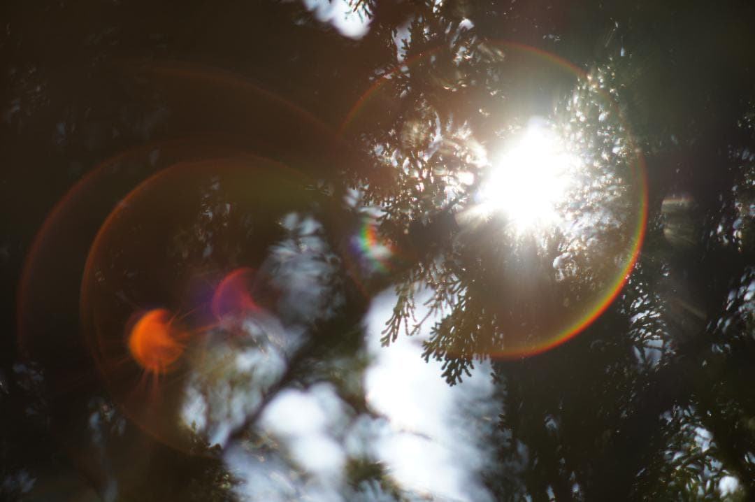 作例有・光学美品✨ PENTAX スーパータクマー 55mm f1.8 後期