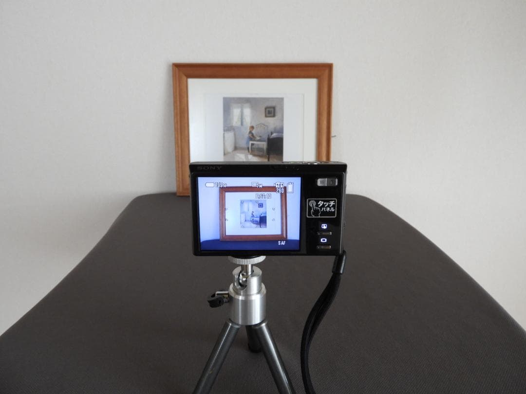 SONYソニー Cyber-shot DSC-T50 デジカメ メモリー 付