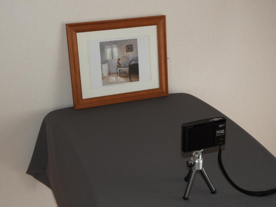 SONYソニー Cyber-shot DSC-T50 デジカメ メモリー 付