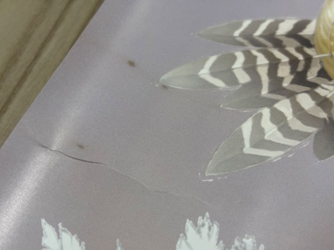 【超希少】ヴァルキリープロファイルシリーズ　販促ポスターB2