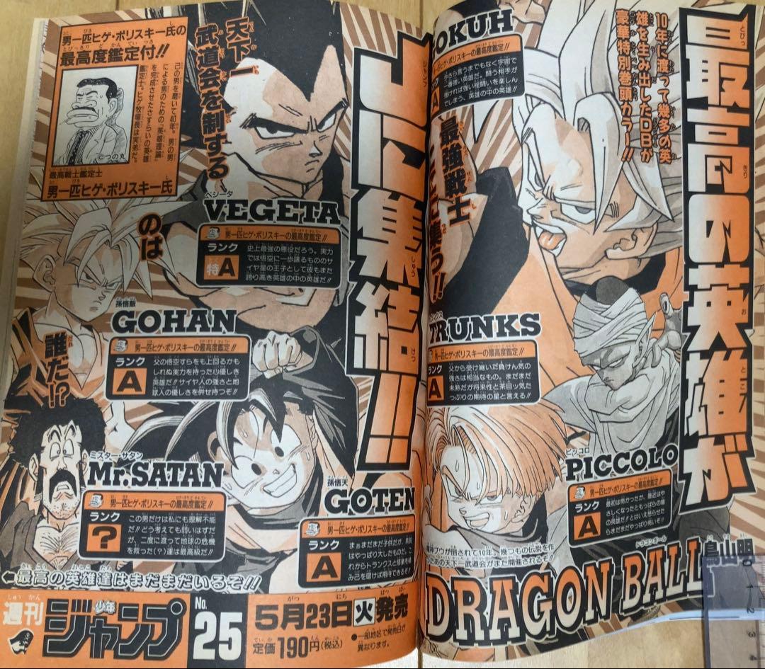 週刊少年ジャンプ　1995年24、25号 【最終回予告&最終回】ドラゴンボール