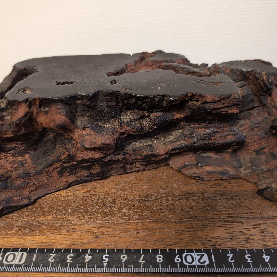 枯木　古木　木製仏像台 黒漆塗り　波濤彫刻　古美術　骨董