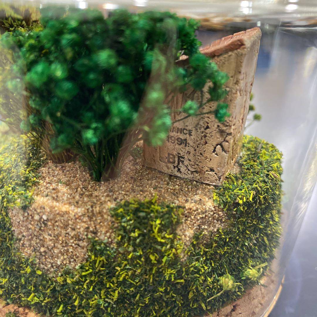 GAULT ミニチュアハウス　ゴーハウス　テラリウム風