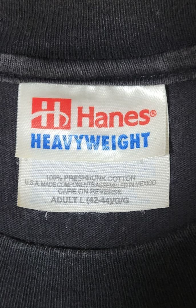 Hi-STANDARD Tシャツ growing up tour 1996 L