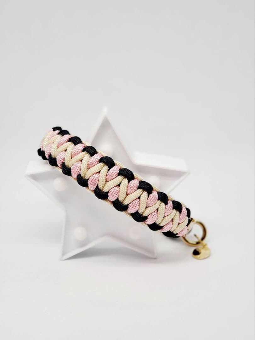 うちの子スタイル カラーを楽しむ首輪