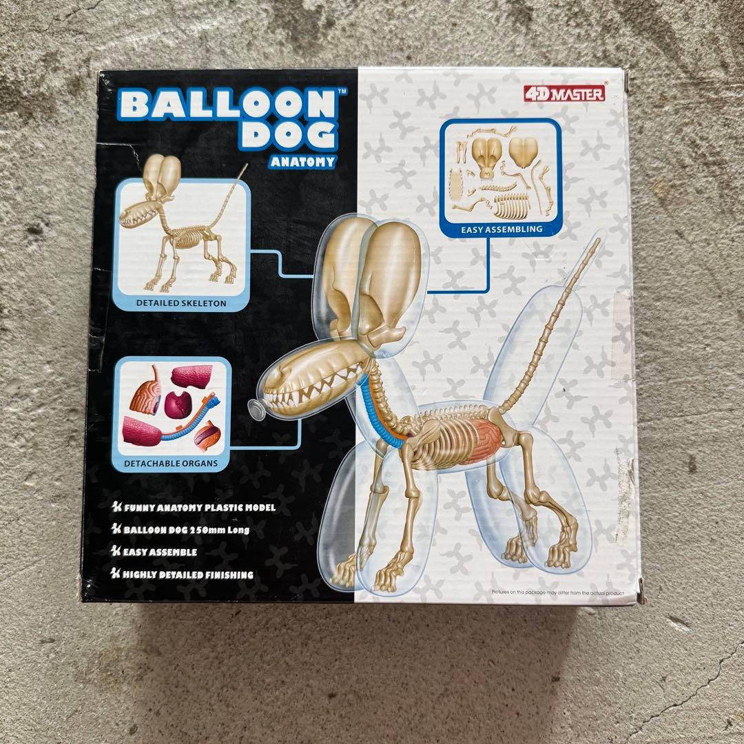 4DMASTER Balloon Dog Anatomy バルーンドッグ