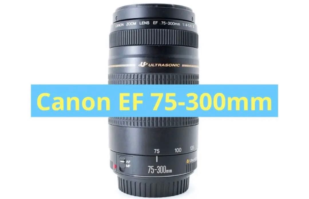 望遠レンズ/スポーツ観戦/Canon EF 75-300㎜ F4-5.6 II