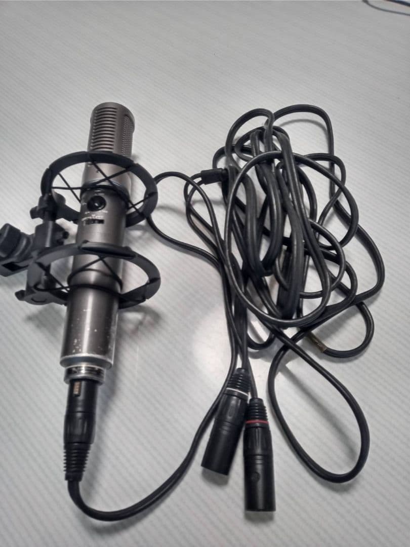 配信機器・PA機器・レコーディング機器 SONY ECM-999