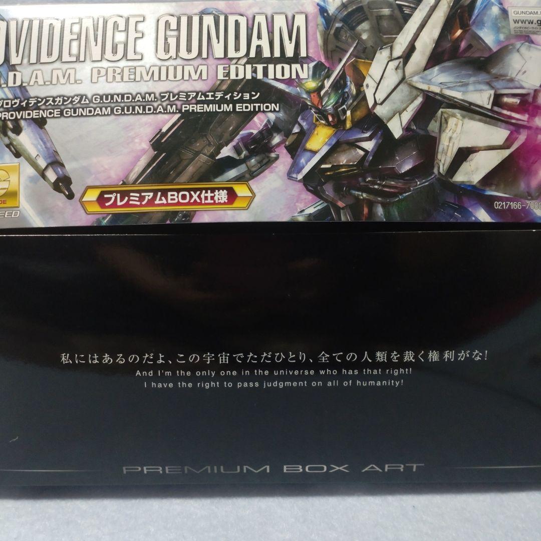 【1/3まで値引き】MG 1/100 プロヴィデンスガンダム PE