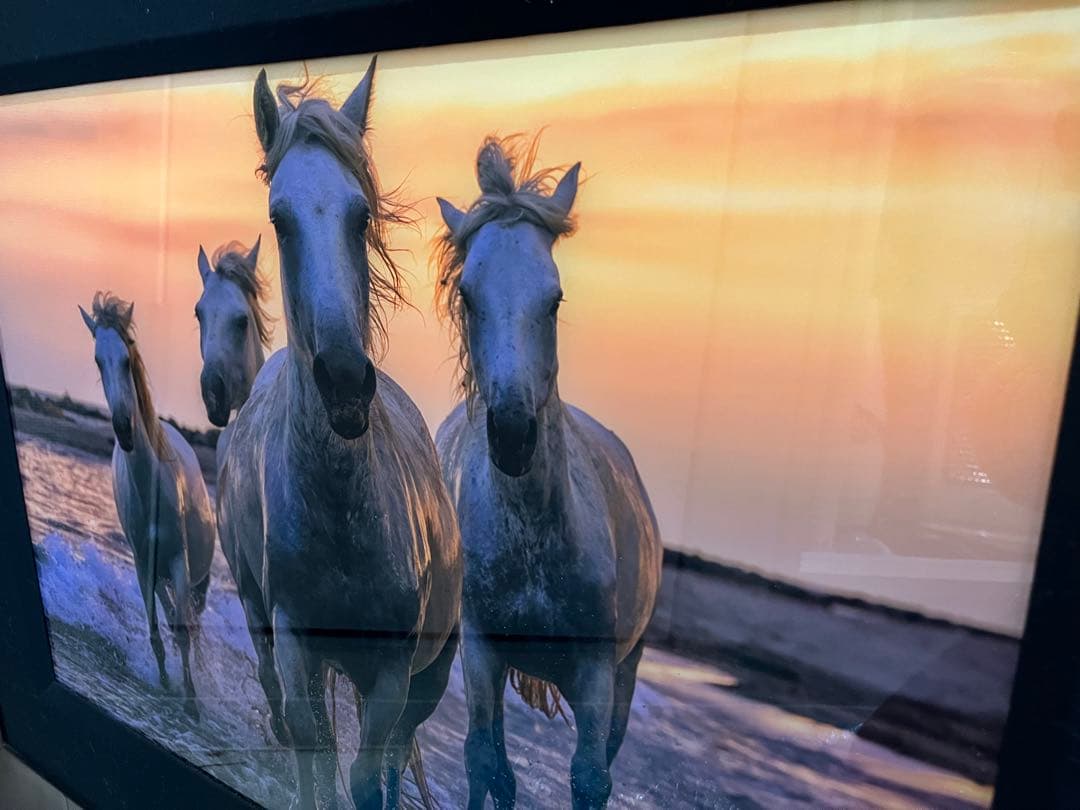 《元値150万円》ピーターリク　Running Free