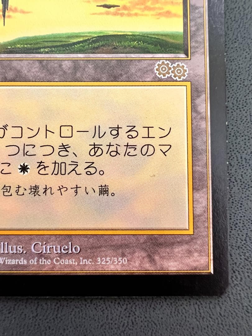 再録禁止「USG」セラの聖域/Serra's Sanctum　日本語１枚①