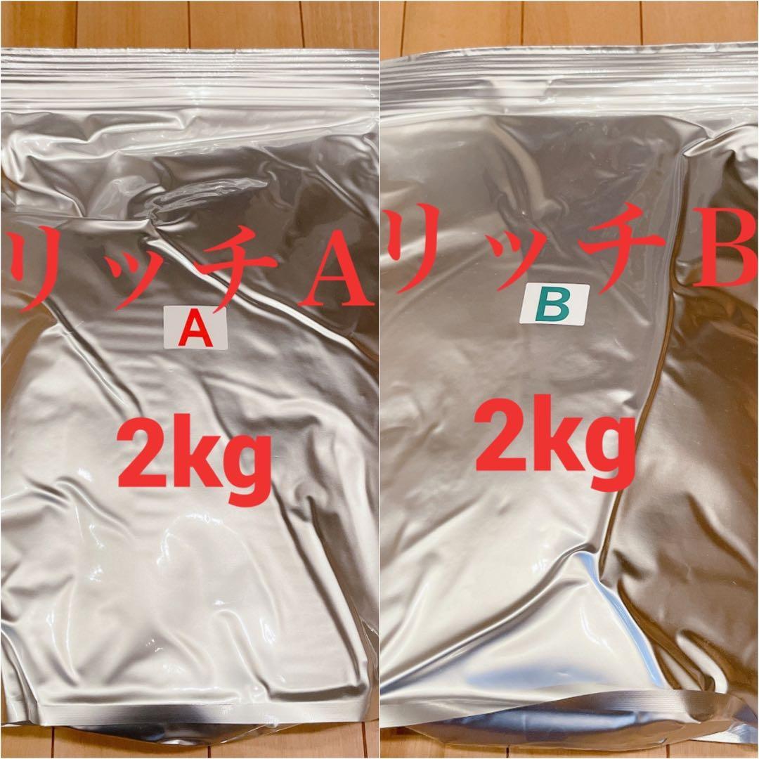 ちゅけ　科学飼料研究所 リッチA B 各2kg