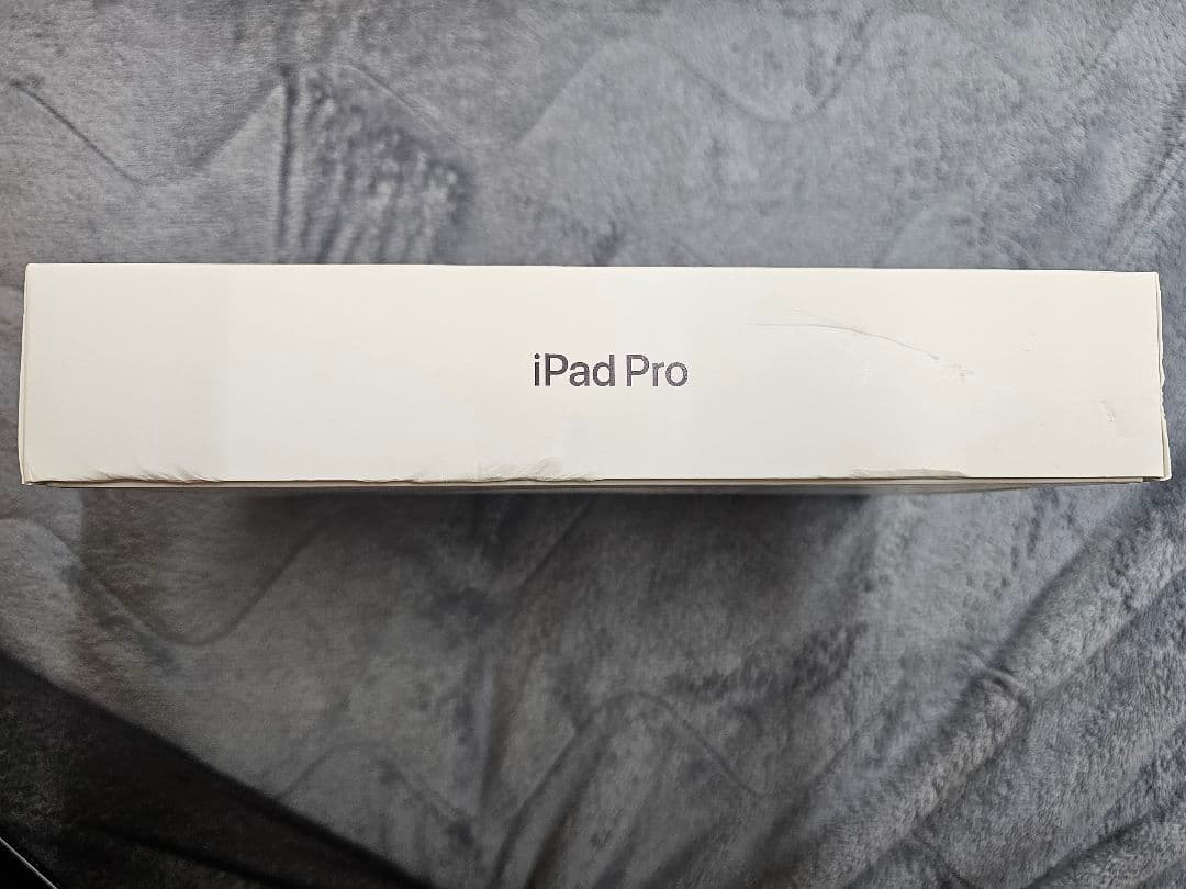 iPad Pro M4(第5世代) 11インチ Wi-Fiモデル 1TB 本体