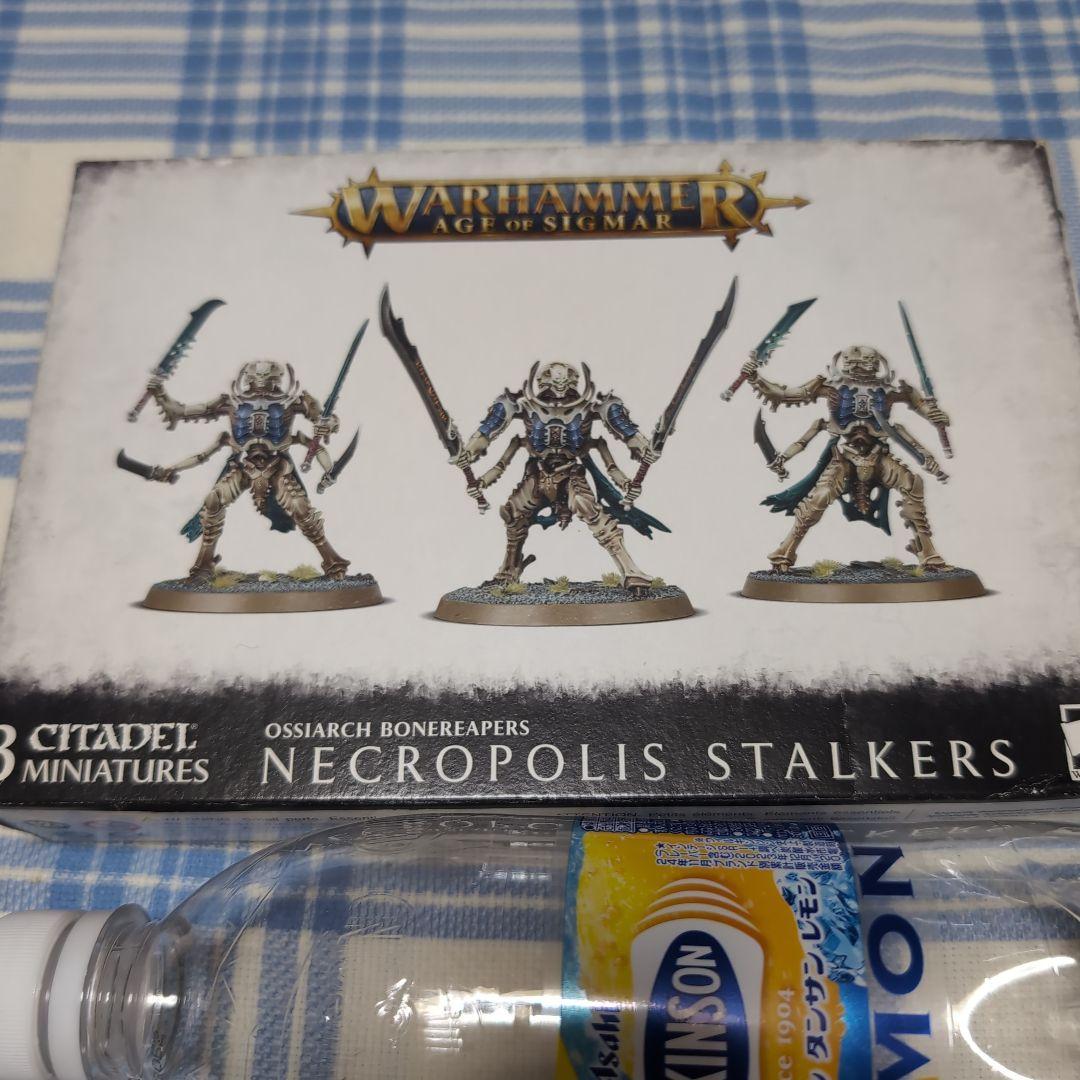 ウォーハンマーAoS　オシアーク各種