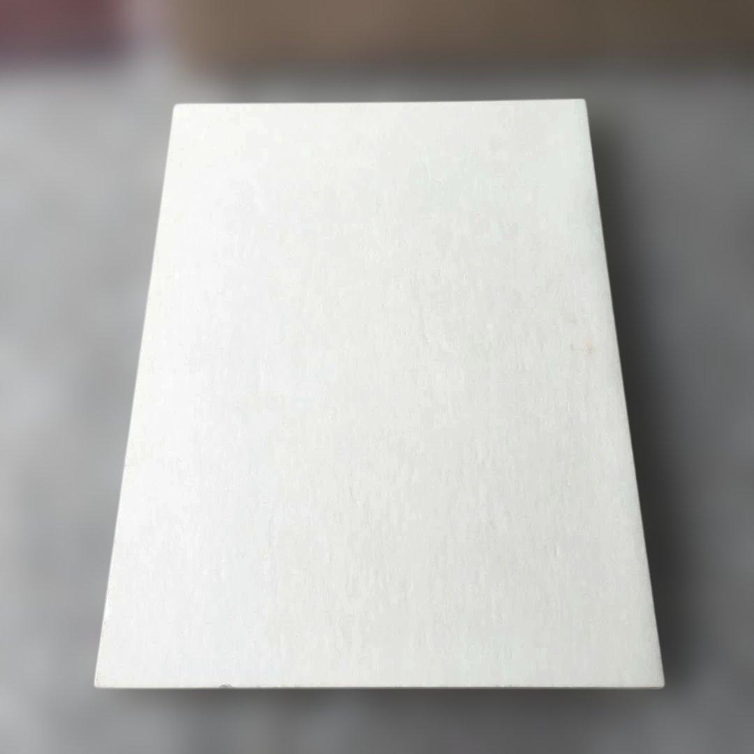 女王蜂『白兵戦』DVD　ライブ