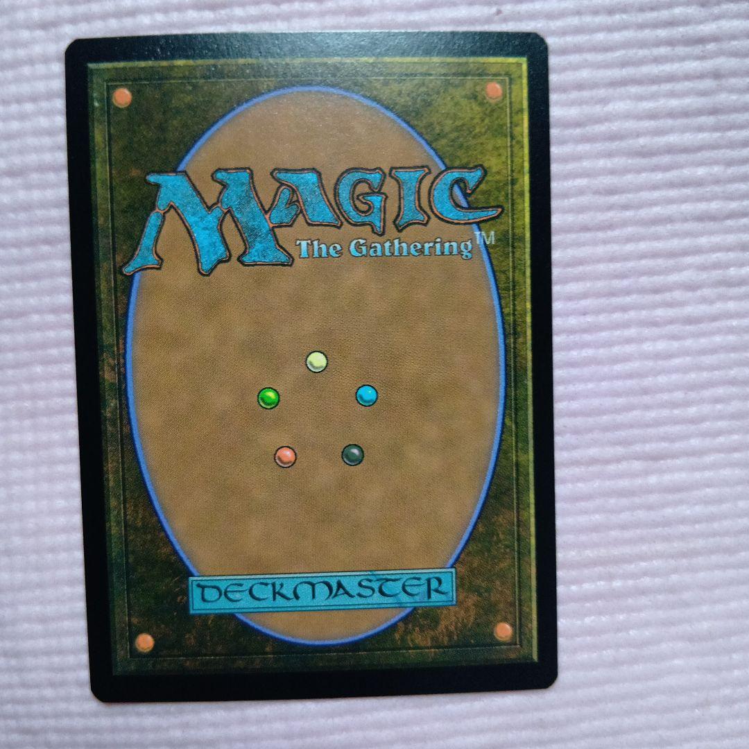 MTG 影の群れの灰毛 英語