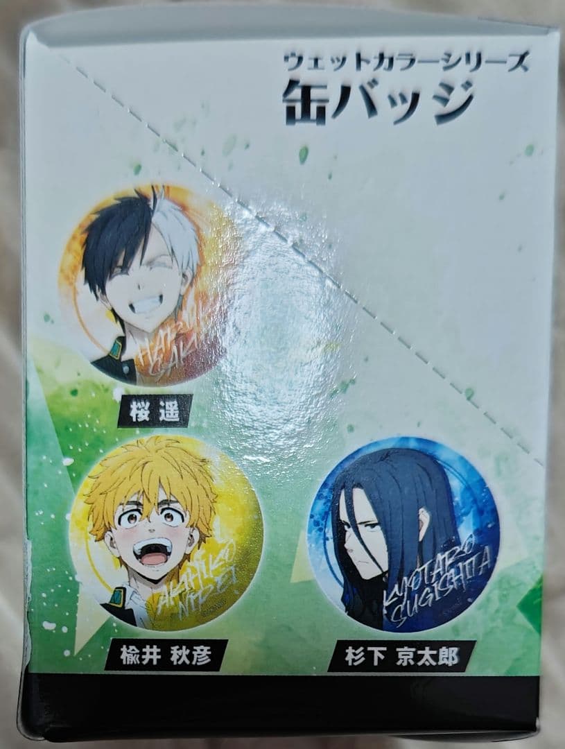 WINDBREAKER ウェットカラー シリーズ 缶バッジ 全5種 ×15BOX