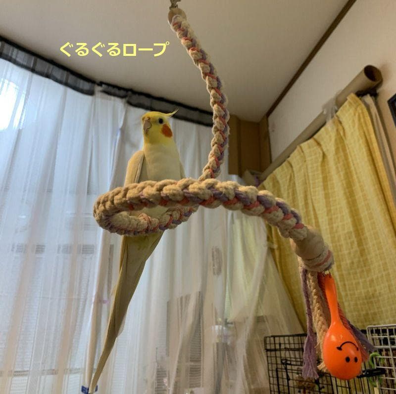 ハンドメイド　インコおもちゃ　オーダーページ　2025.04.27更新