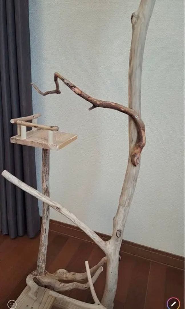 ぴあ　グッズ整理中さま