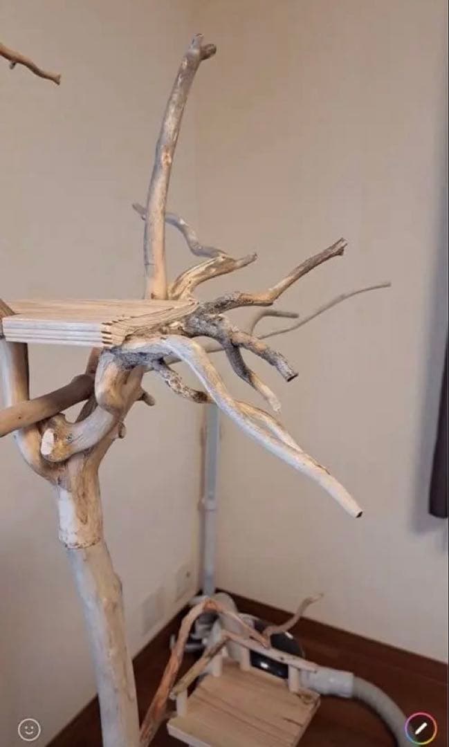 ぴあ　グッズ整理中さま