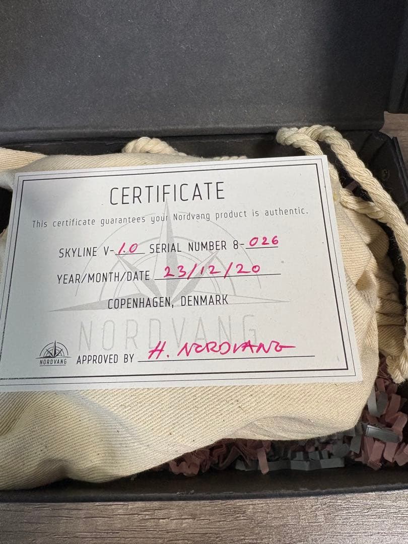 ギター NORDVANG SKYLINE