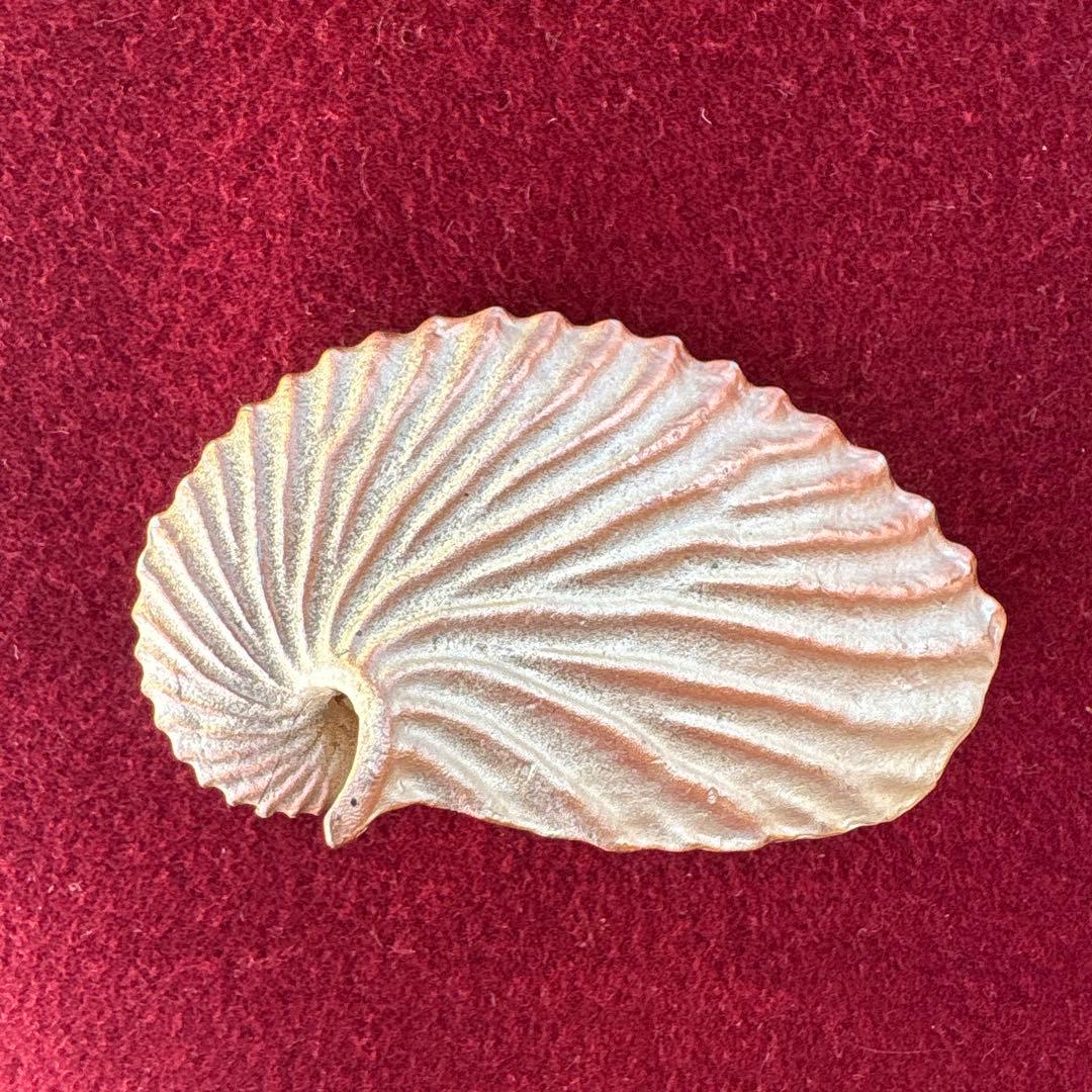 アトリエジュンコ シェル型カードスタンド 4個セット