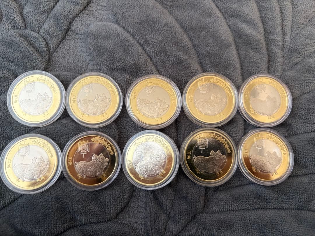 中国記念硬貨 2019年十二支　イノシシ　記念10元　未使用　10枚セット