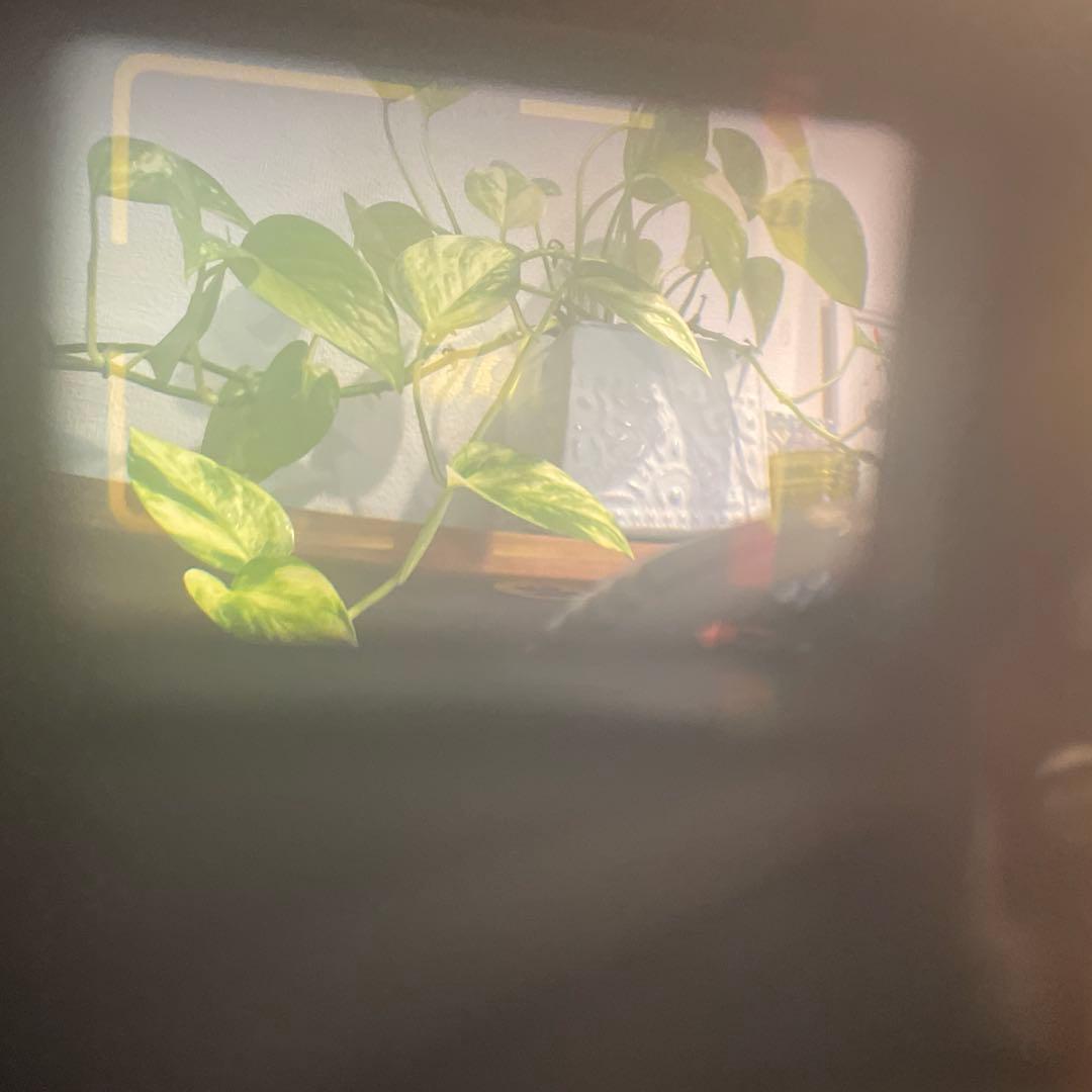 【美品ジャンク】Canon Canonet QL17 G-III ブラック